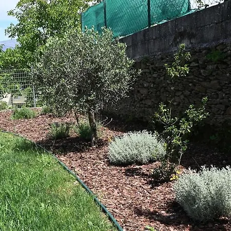 Дом отдыха Casa De Tras-o-muro